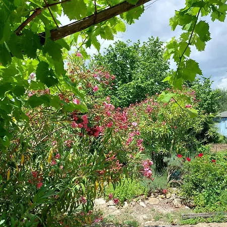 Capanna Margherita Casa vacanze Petritoli